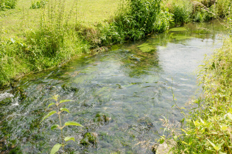 Hameau de la Gette 2018